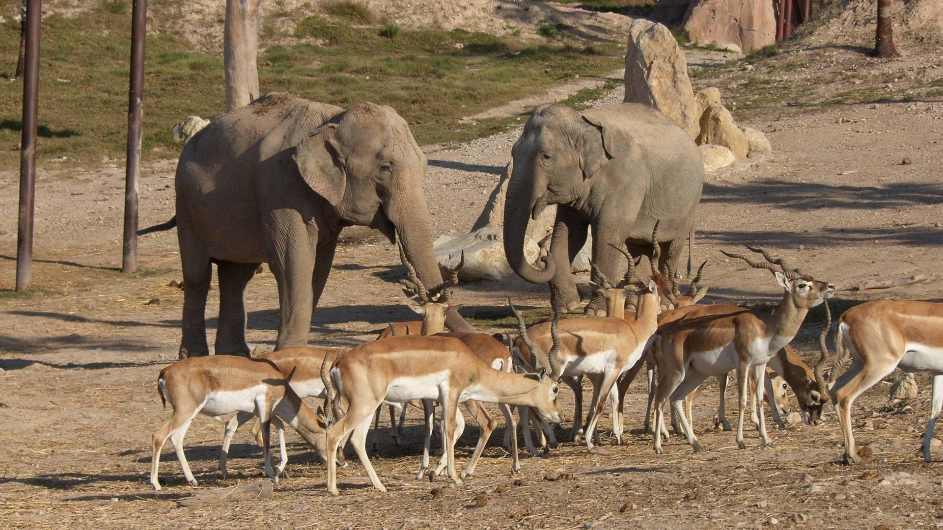 Terra Natura Benidorm