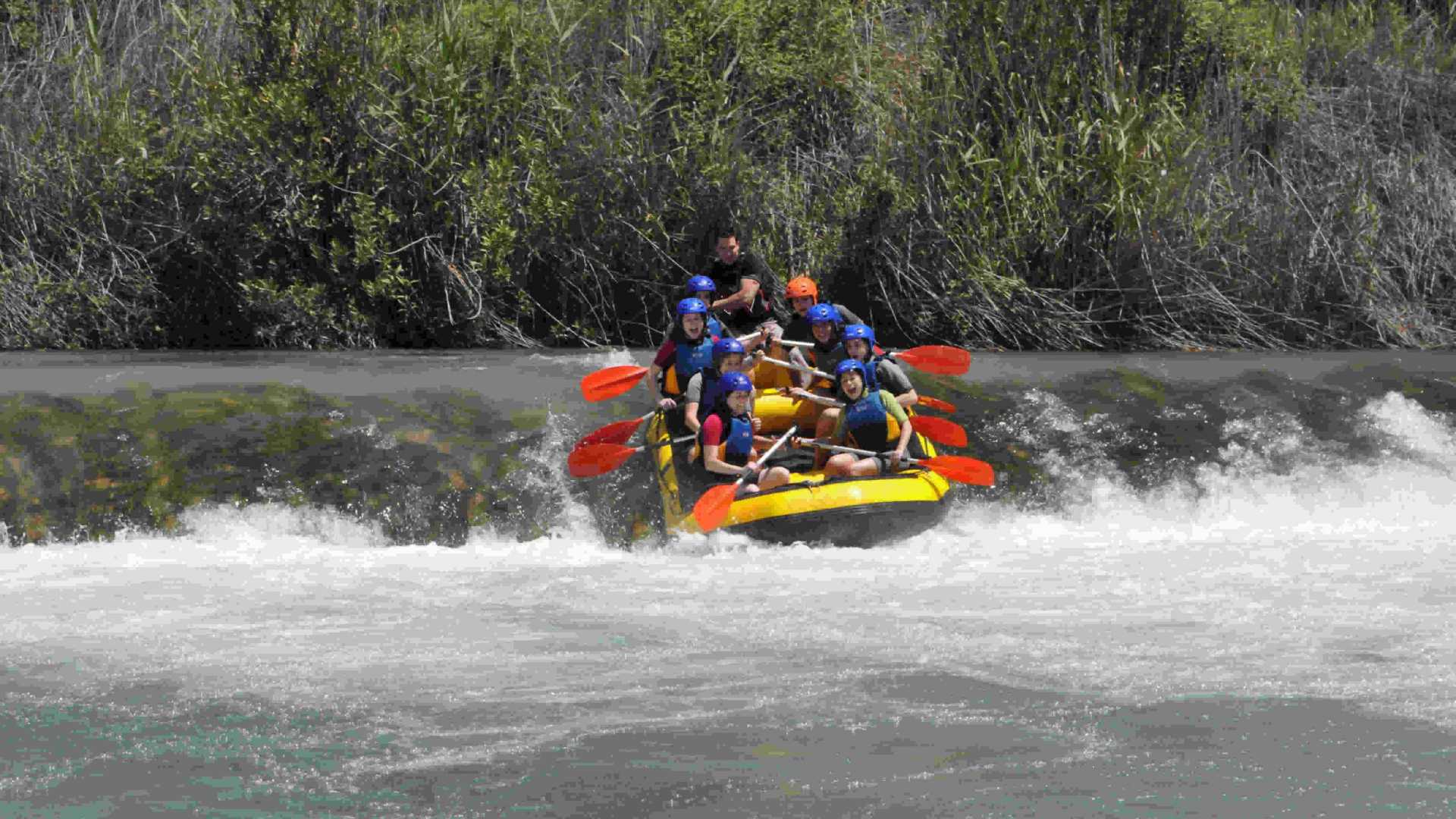 Cofrentes adventure park activities