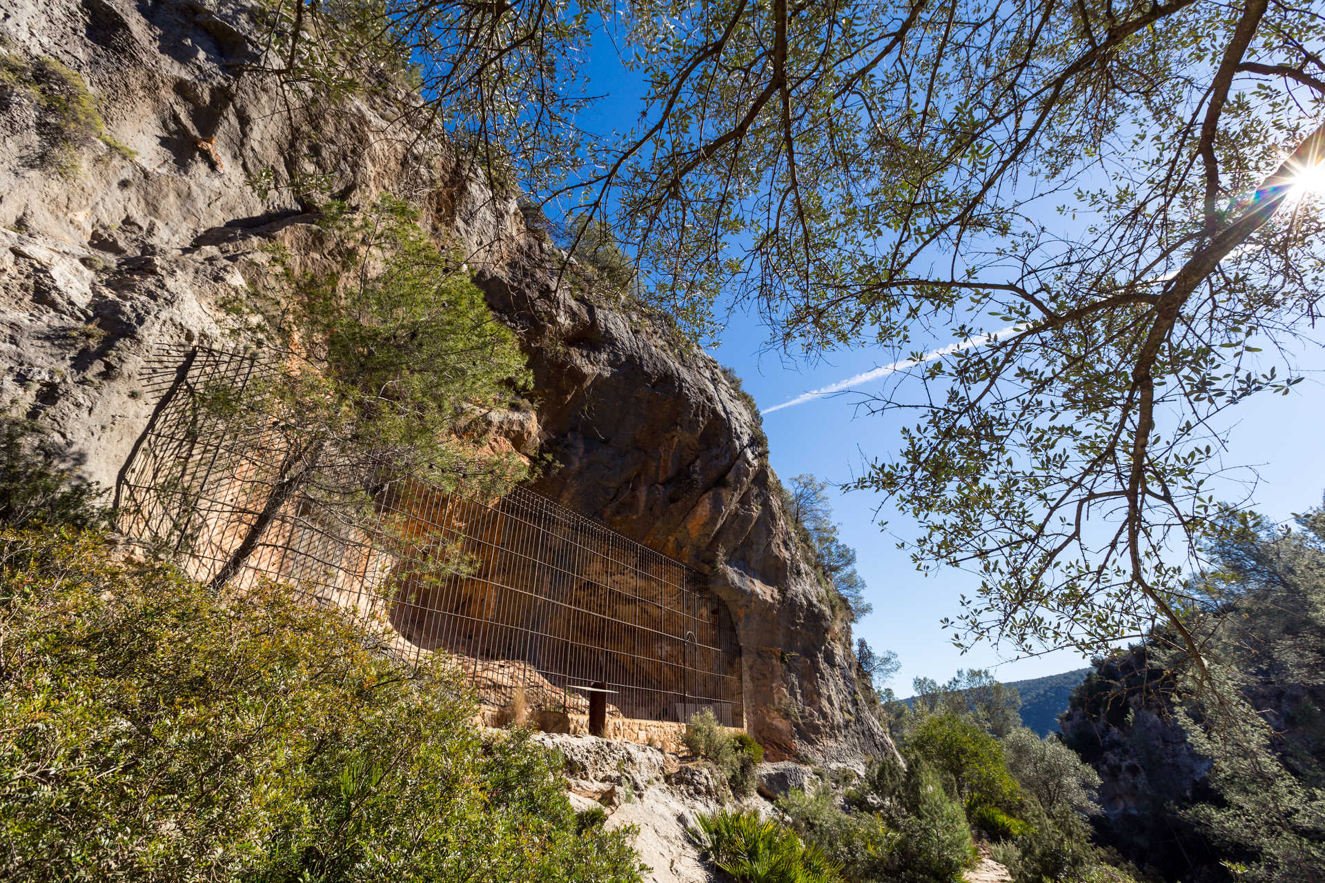 Cuevas de la Araña rock shelter