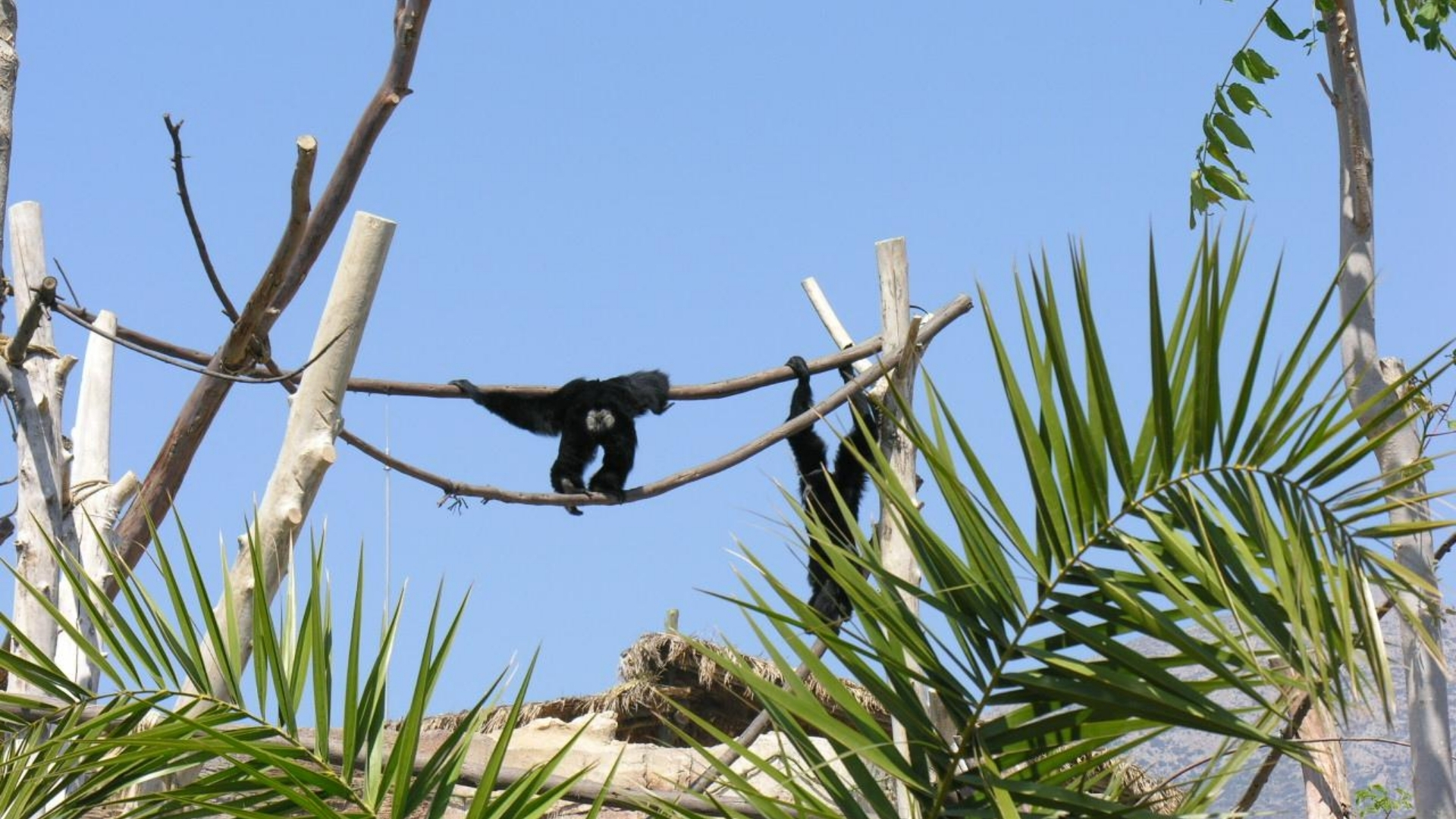 Terra Natura Benidorm